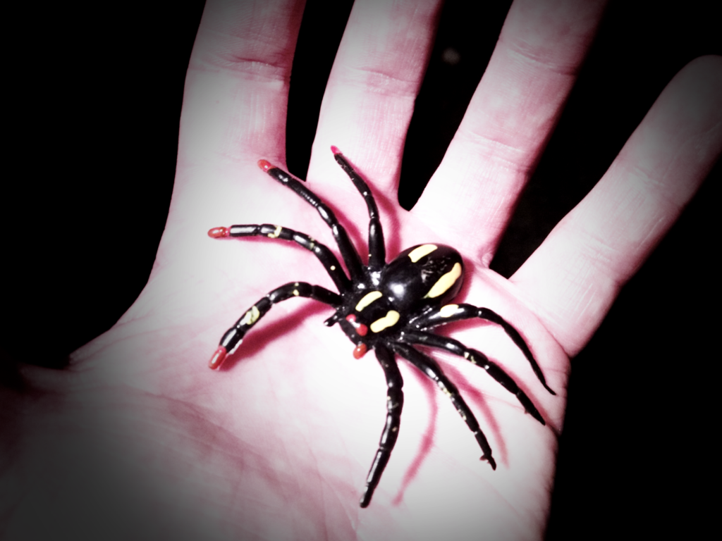 die schwarze spinne